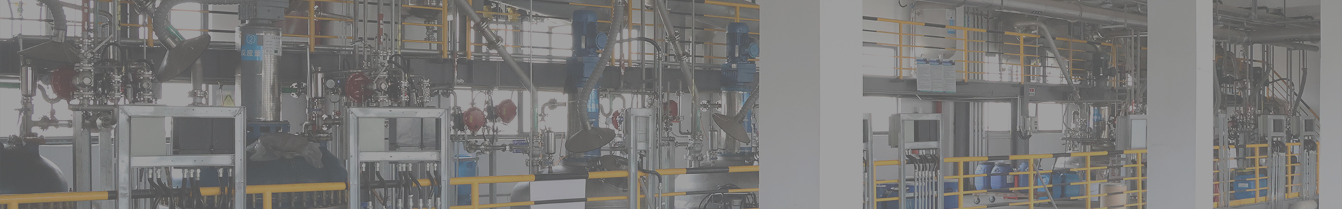 电镀封闭剂/保护剂